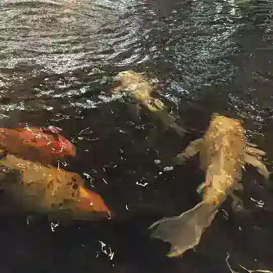 уютный чатик