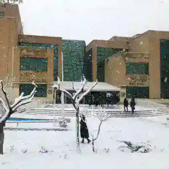 گروه دانشجویان دانشکده زبان | کرج