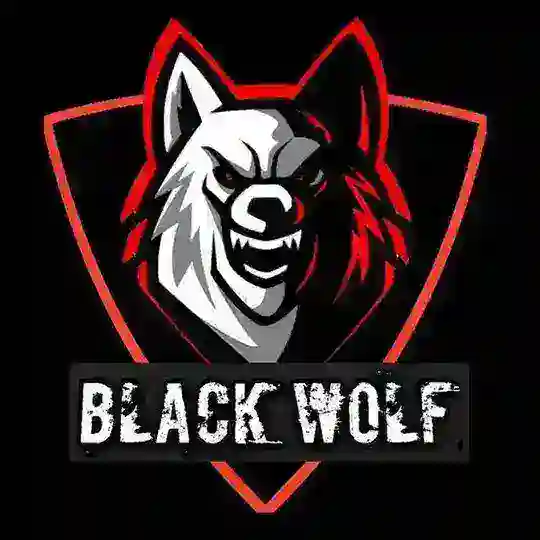 𝗕𝗟𝗔𝗖𝗞 𝗪𝗢𝗟𝗙 🖤