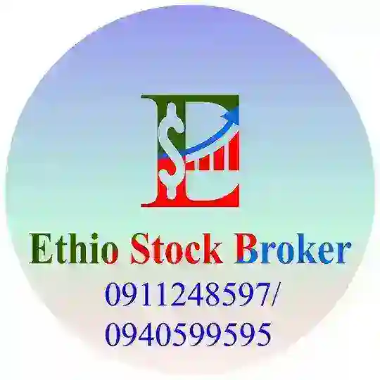 Ethio Stock Market Information