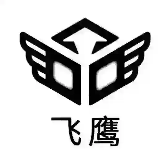 靠谱服务器-飞鹰