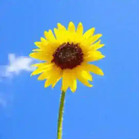 国人灰产交流