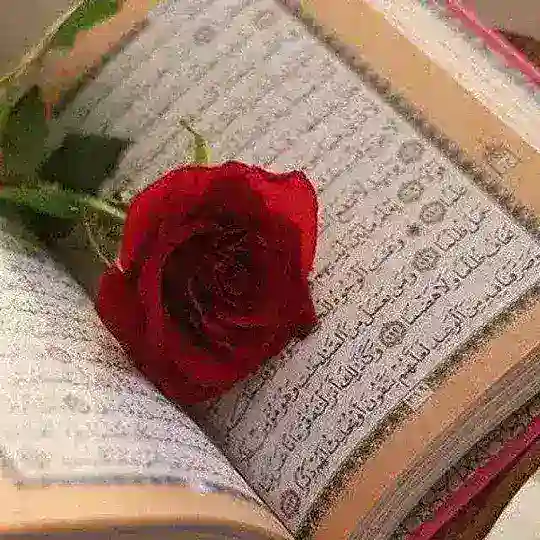 کانال ازدواج موقت و صیغه موقت