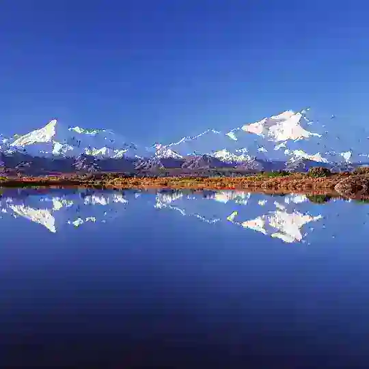 韩国【号码检测】