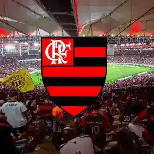 Flamengo ao vivo - ♥️🖤⚽️