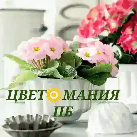 🍀ЦВЕТ🌻МАНИЯ ЖК ПБ 🌿🌺