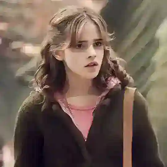 Franchises Hermione Granger
