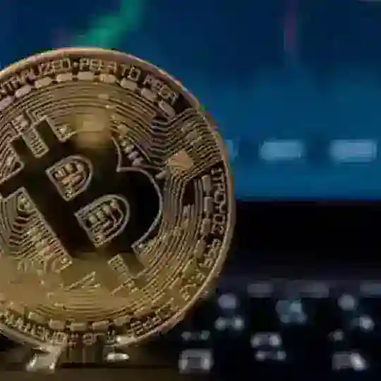 Crypto Balinası