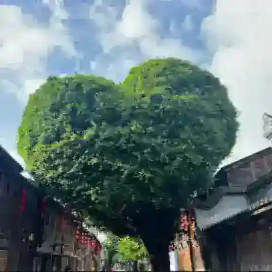 福州交流群