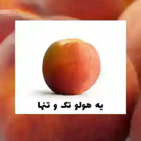 گپ کنکوری DNA