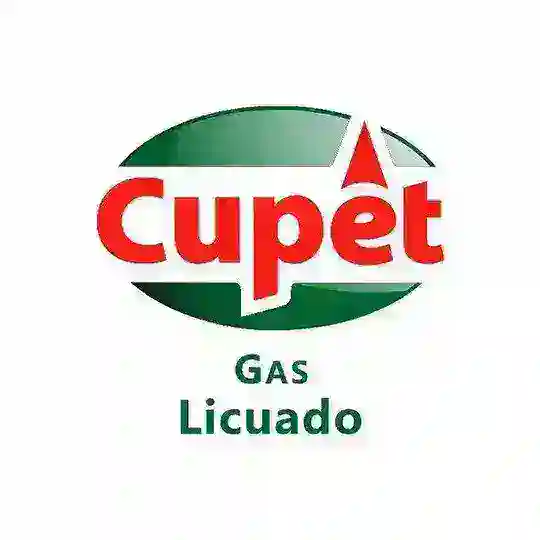 Empresa de Gas Licuado chat