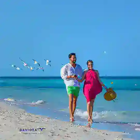 GaviotaTurismo ¡Contamos Contigo!
