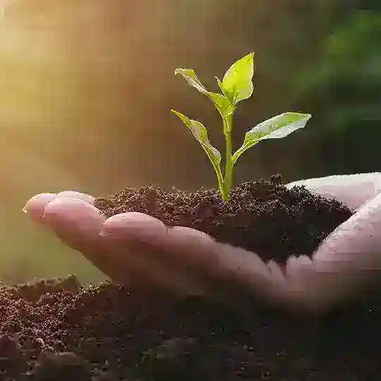 General Agriculture chat