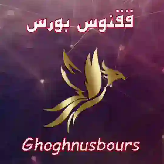 آپشن بازان ققنوس