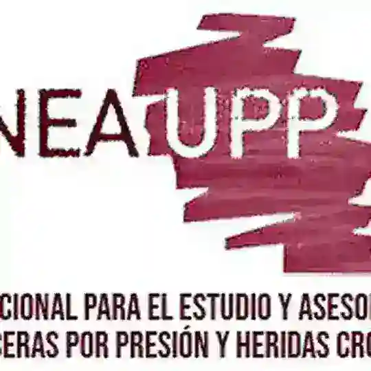 Gneaupp GRUPO NACIONAL PARA EL ESTUDIO Y ASESORAMIENTO EN ÚLCERAS POR PRESIÓN Y HERIDAS CRÓNICAS