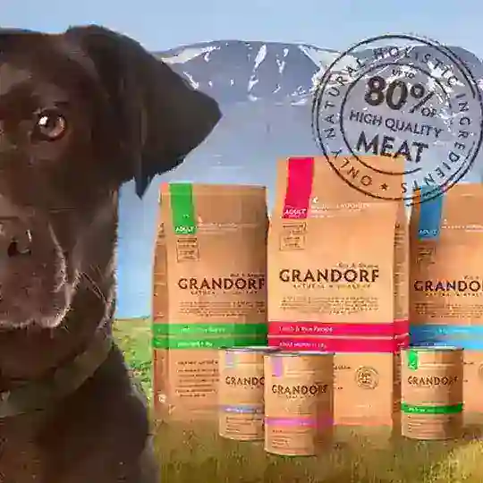 Апоквел | Бравекто | Грандорф: МАГАЗИН РФ!