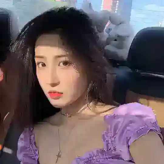 91鉴黄视频成人