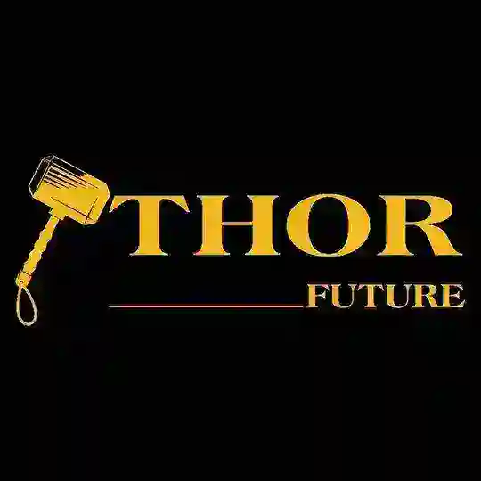 Thor Group Future