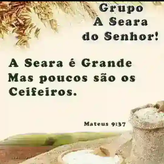 Grupo Seara do Senhor oficial