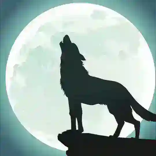贵阳修车指南(ZNZ)