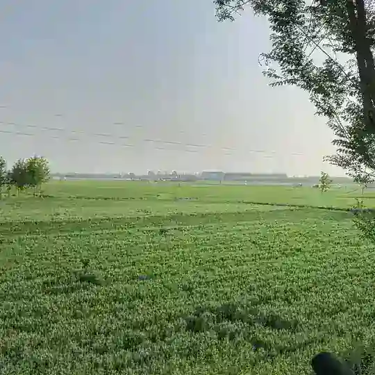 GVFAKA网保号交流群
