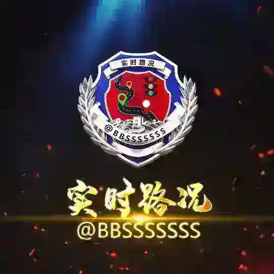 华人查车交流群(禁硬广)