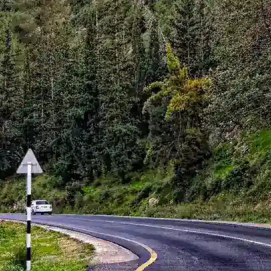 دردشات ترقوميا