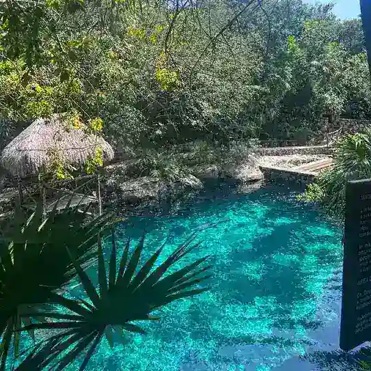 （海外素材库）-风景-美食-人设-豪车-旅游-炫富