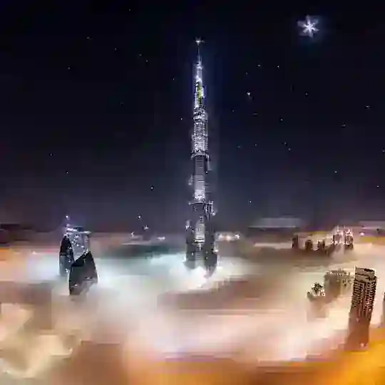 世界资源中心