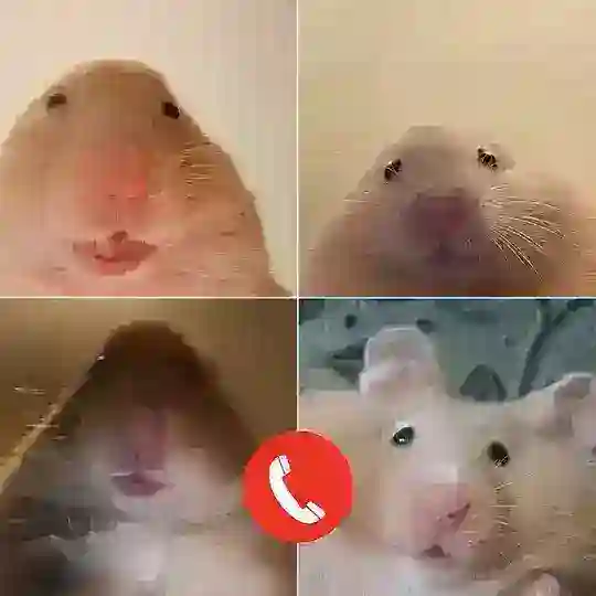 Happyhappy18888 Grup Diskusi