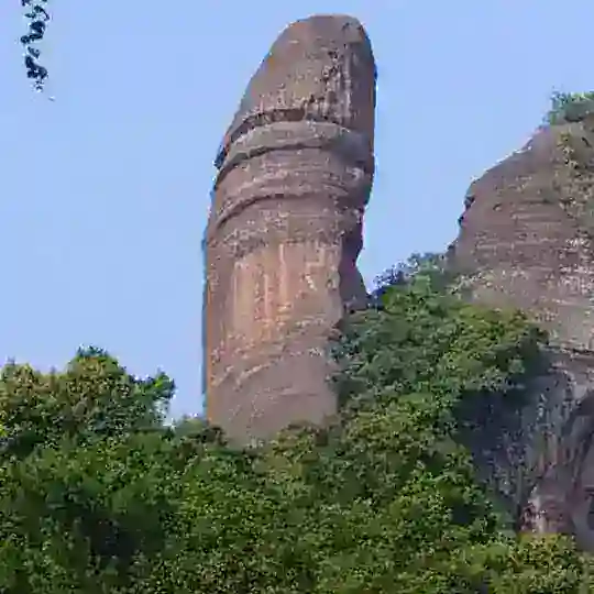 深圳抓龙筋