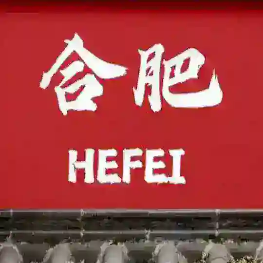 合肥学生会2.0（启动版）
