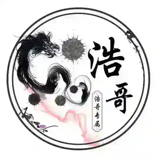 深圳94-95《出击群》