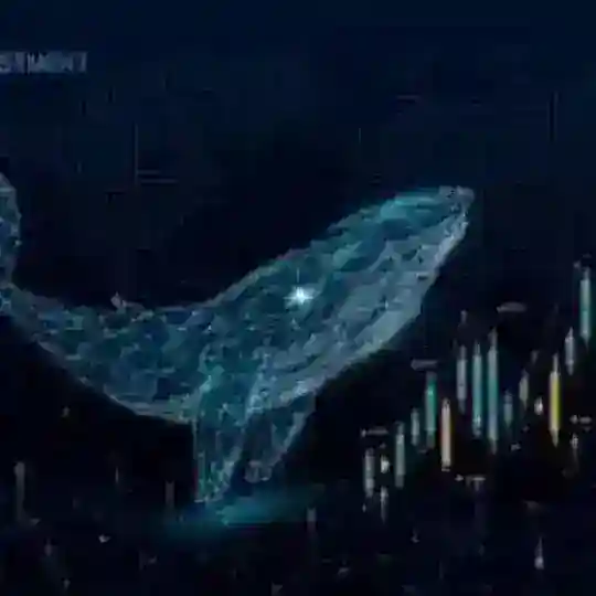 حيتان التداول ❤️‍🔥🐳 chat