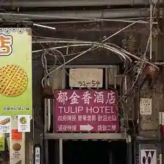 香港hk扫楼洗楼一楼一凤141 161 一樓一鳳 鳳姐掃樓洗樓