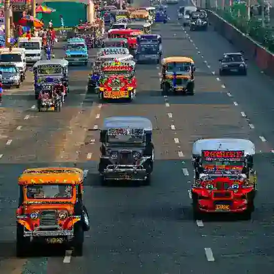 Hội Người Việt Tại Philipines