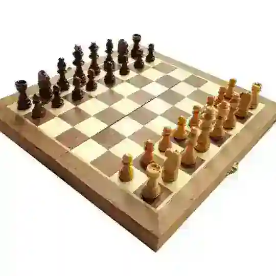 홍보체스