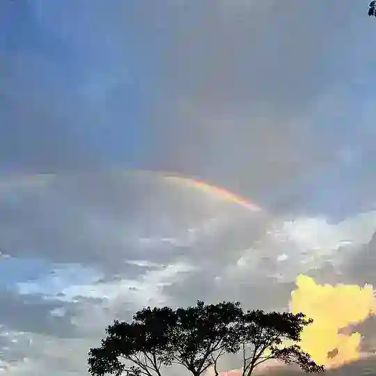 果敢小澳门腾龙非凡俱乐部