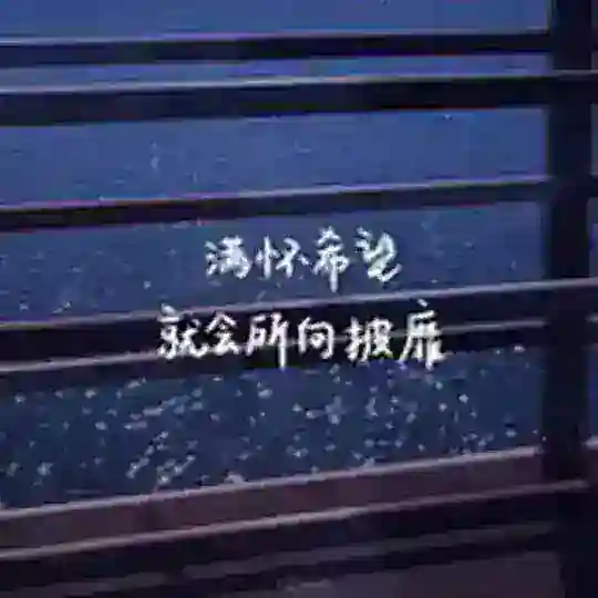 41云