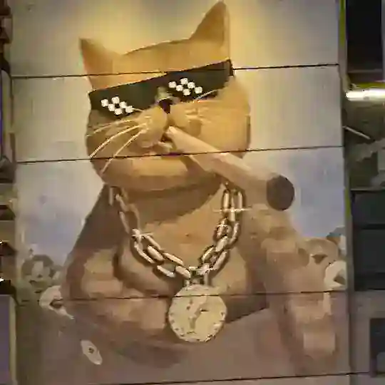 广州咖啡猫