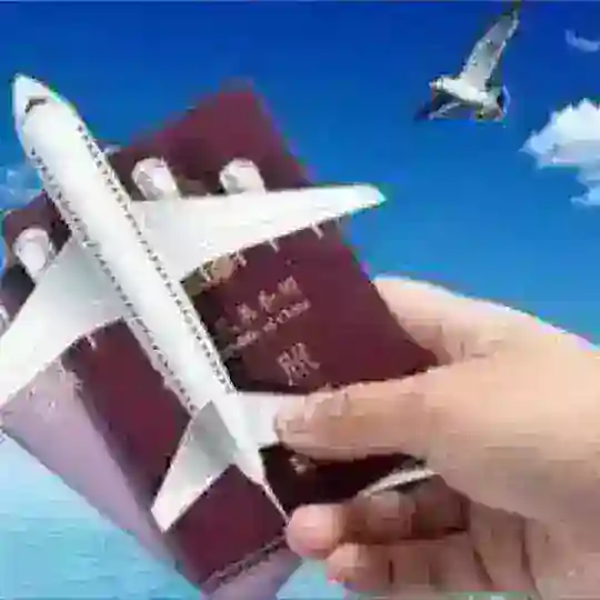 菲律宾华人回国交流群