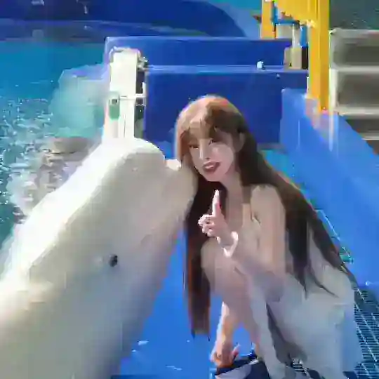 金边美联公馆【阿玖】金边会所✨天空之城