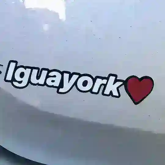 Flores iguazu