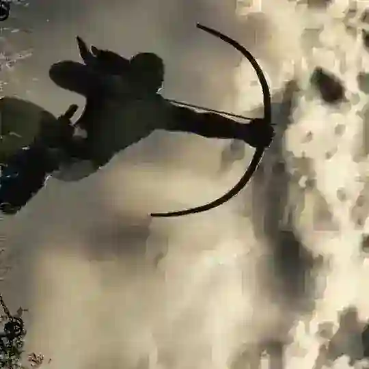 Iran prxy