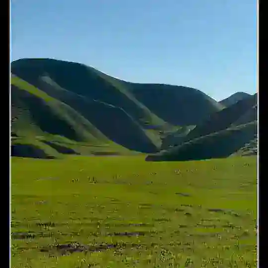 برای ایرانیان عزیز خارج کشور🇮🇷🇹🇷