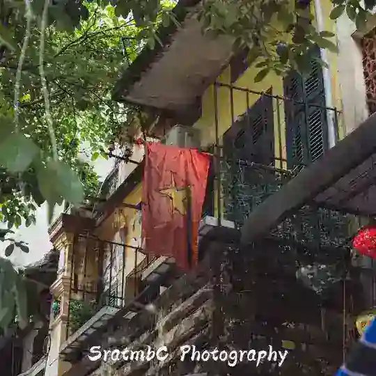 tuyển dụng xám