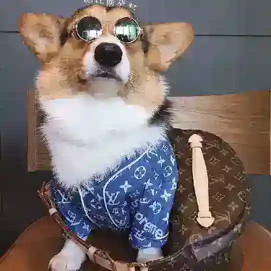 话术素材宝典