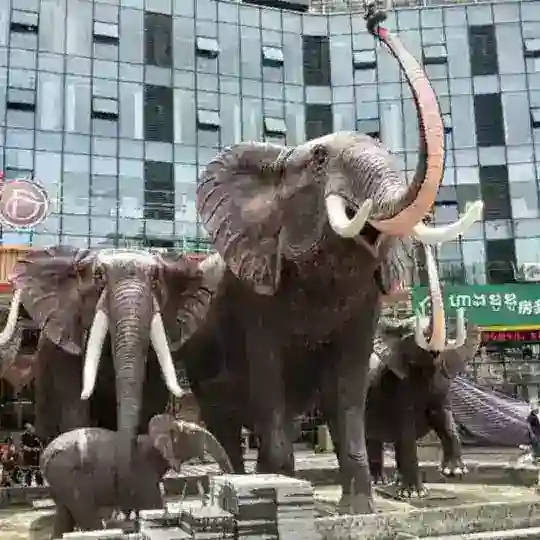 柬埔寨西港聊天群