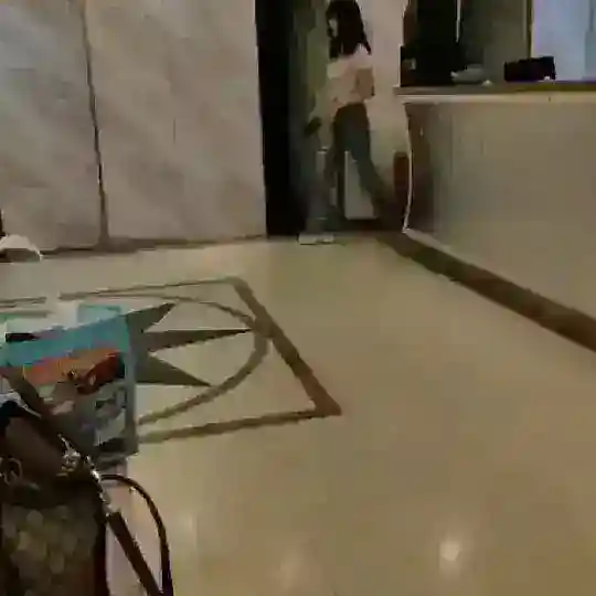 九龙咨询群