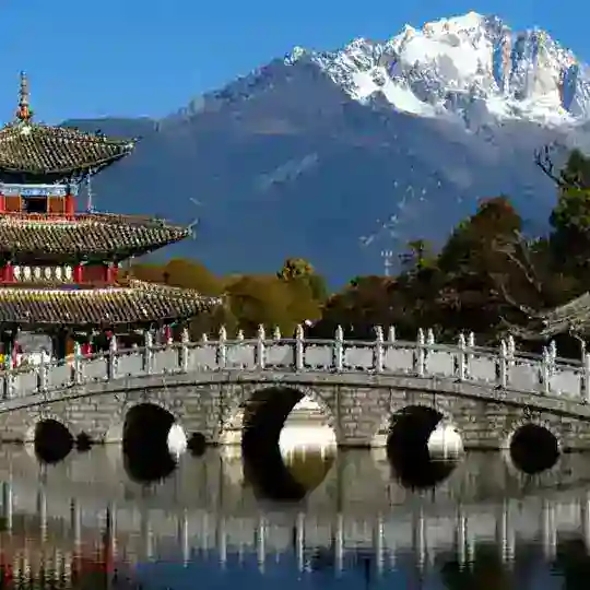 九评回首惊梦醒